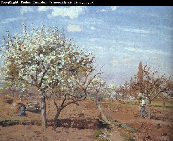 Camille Pissaro Orchard in Bloom at Louveciennes